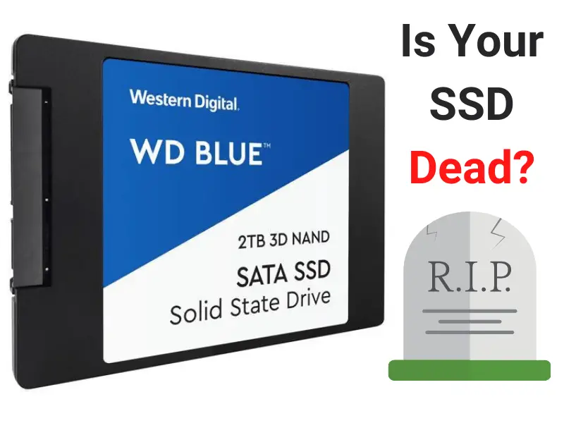 SSD-Dead